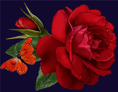resim1