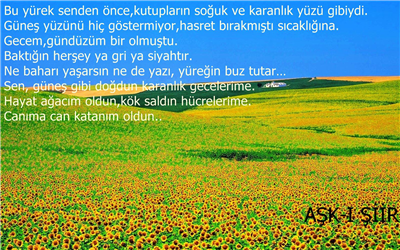 aşk şiiri11