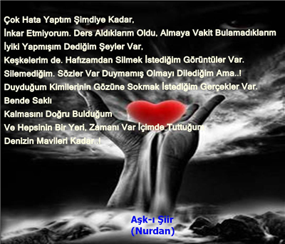 şiir1