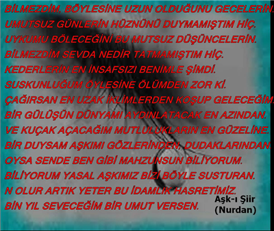 şiir3