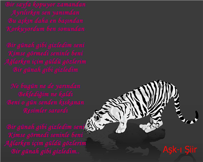 aşk şiiri17