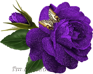 resim10