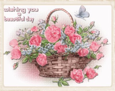 flower`s for you 