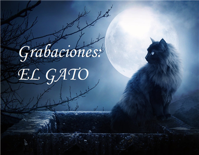 ¿Que Famoso Tiene Tus Mismos Gustos?