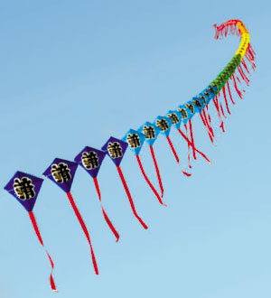 Train Kite