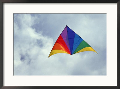 Colorful delta-wing kite