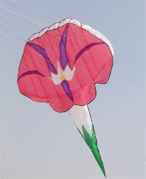 Flower Kite