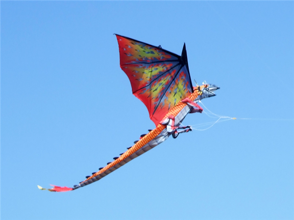 Dragon Kite 1