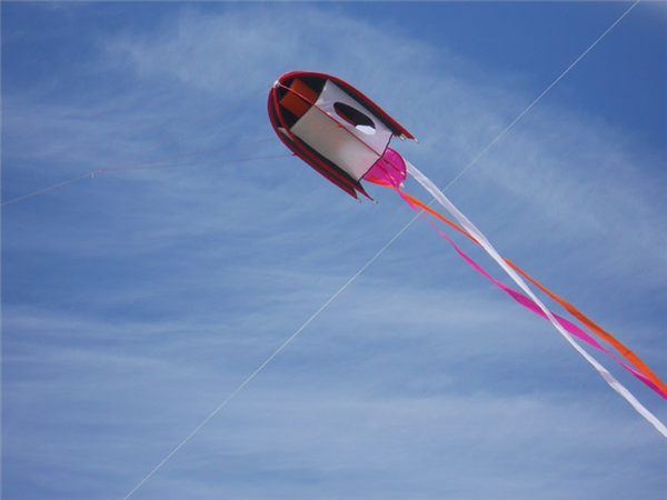 Rocket Kites