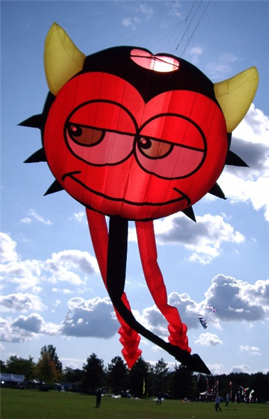 Funny Big kite