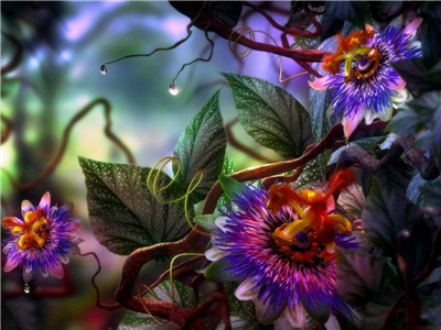 Magic flowers