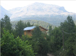 Kalıcı Dostluklara