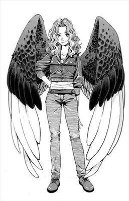 Which Maximum Ride Character Are You?