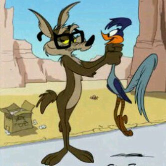 اكرهك للستار 