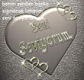 Seni Seviyorum