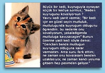 Testi Çözmeye Ne Dersiniz