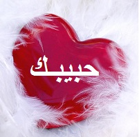 الحبيب