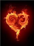 ♥Hearts♥