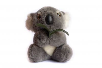 Stuffed Koala