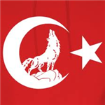 Tek Çare Mhp