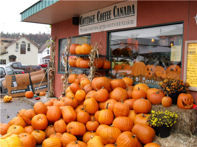 Pumpkin
