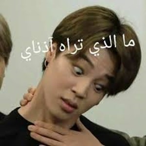 هل تحب الدراسة ام لا