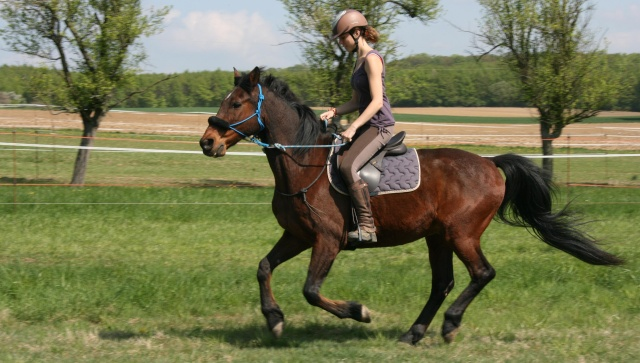 Es Tu Une Vrai Cavalière ?