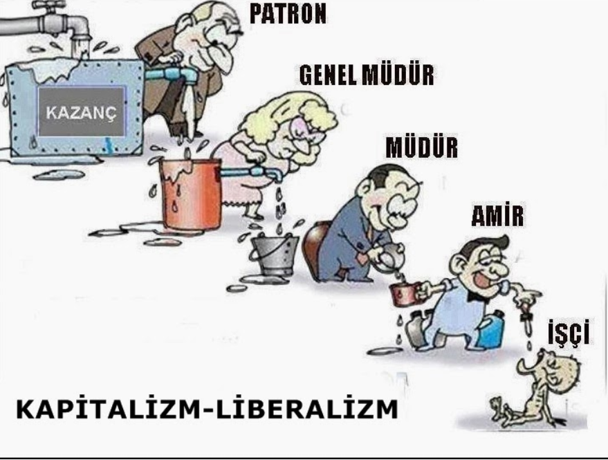 Siyasi Yönün Ne ?