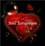 Seni Seviyorum-0001
