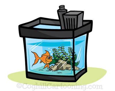 aquarium