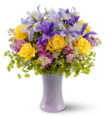 Lavender