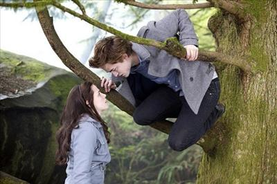 Ne Kadr Twilight Hayranısın????????    (Hazrlayn B
