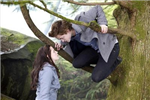 Ne Kadr Twilight Hayranısın????????    (Hazrlayn B