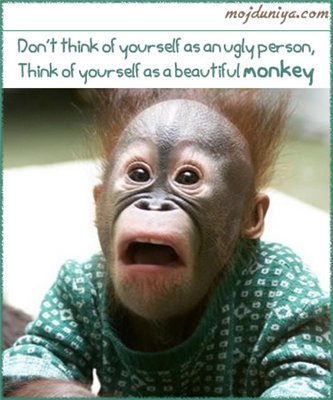 monkey