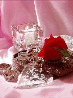 have a beautiful Day