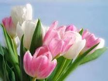 have a beautiful Day