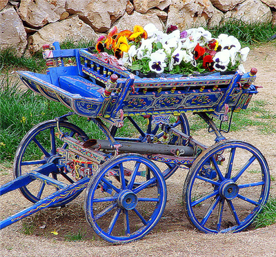 have a beautiful Day