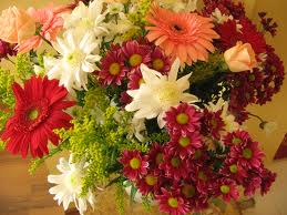 have a beautiful Day