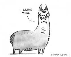 I Like You Llama