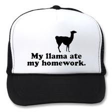 Llama Ate My Homework