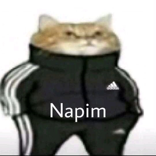 Aşk Testi 