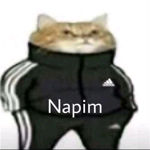 Aşk Testi 