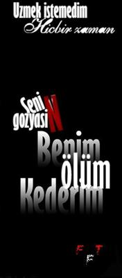 Seviyormusun Sevmiyormusun