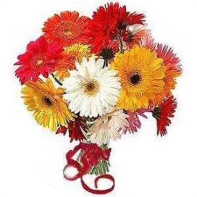 Rosses
