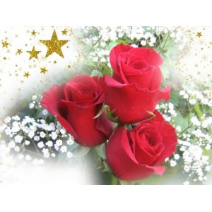 rosas:3