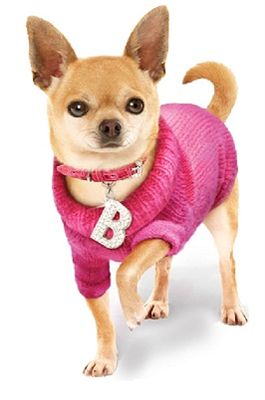 Petit Style's Bruiser