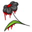 Givola: best flowers in town!