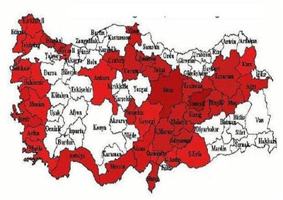 ALEVİ  