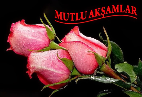 Mutlu Akşamlar
