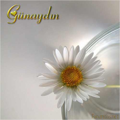 Günaydın
